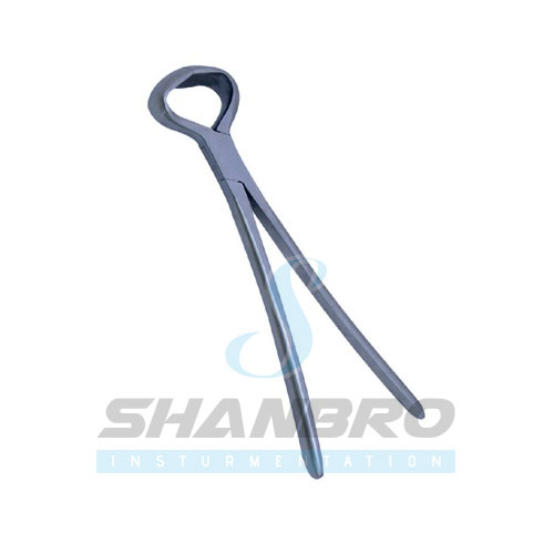  Gouge Dehorning Shears for calves