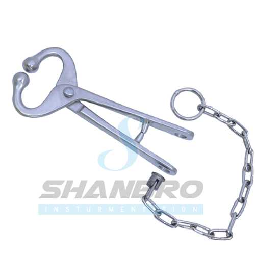 Bull Holder With Chain