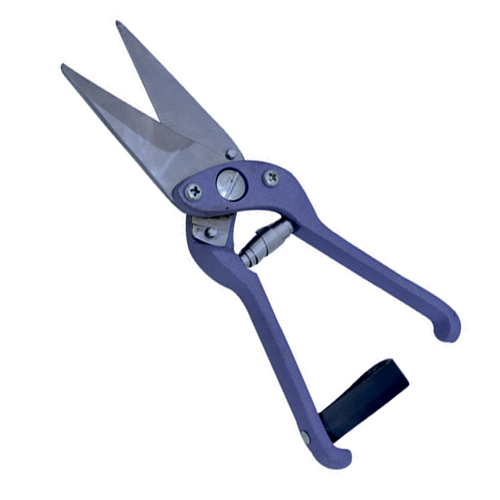Foot-Rot-Shears 