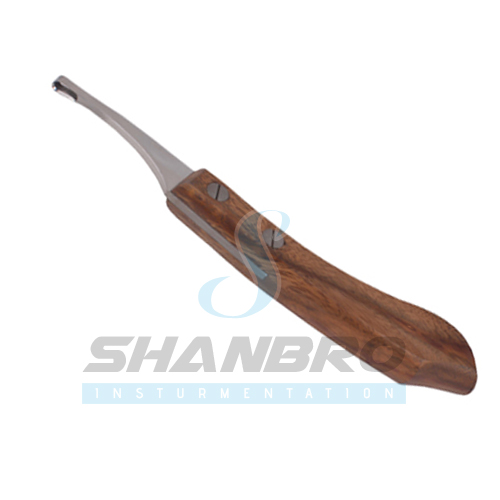 Small Loop Hoof Knife