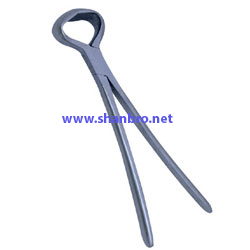 Gouge Dehorning Shears for calves