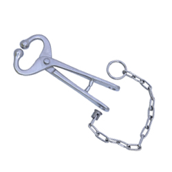 Bull Holder With Chain