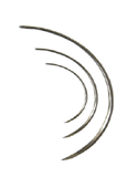 Suture Needle